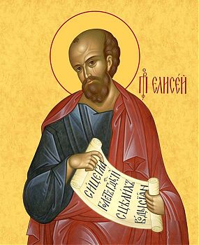 Елисей Пророк, св., 09Е1, иконы на холсте - новый каталог