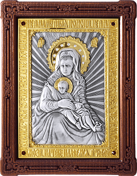 Купить православную икону - Икона Божией Матери "Милостивая" (Зачатьевский монастырь Москва), А112-6